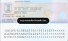 Spain Fake Residence Permit Card